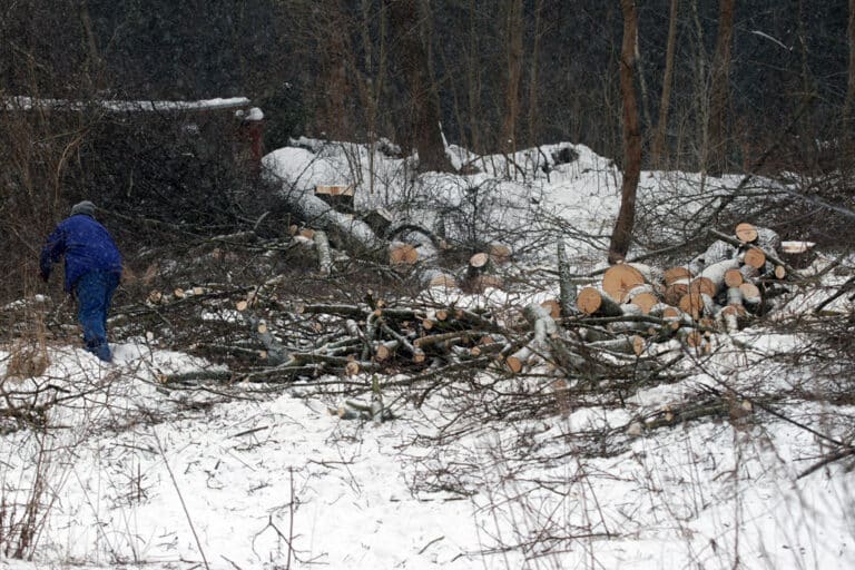 Baptyści odpowiadają za wycinkę drzew na jednej z olsztyńskich ulic?