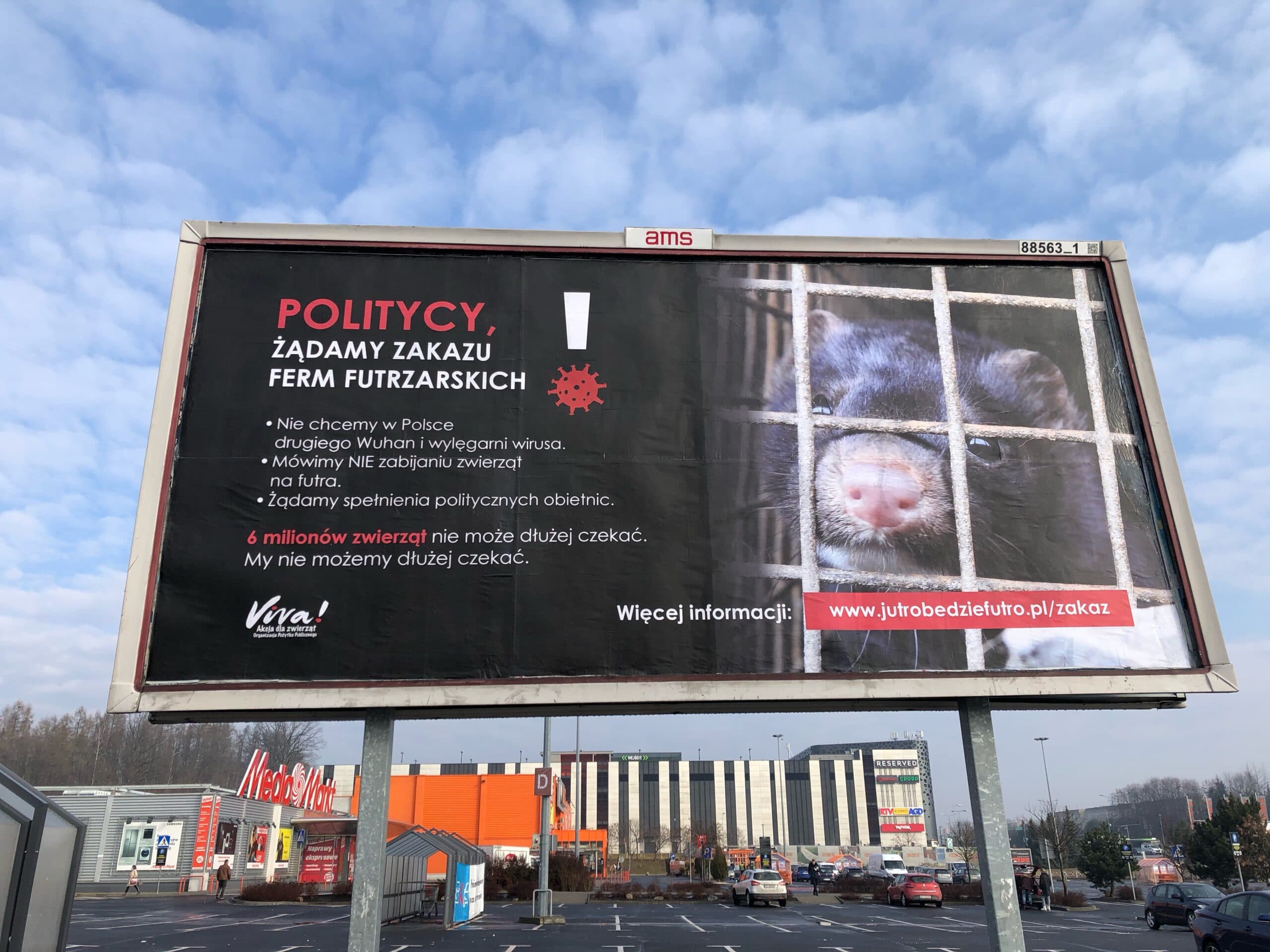 W Olsztynie pojawiło się 7 billboardów antyfutrzarskich Wiadomości, Olsztyn