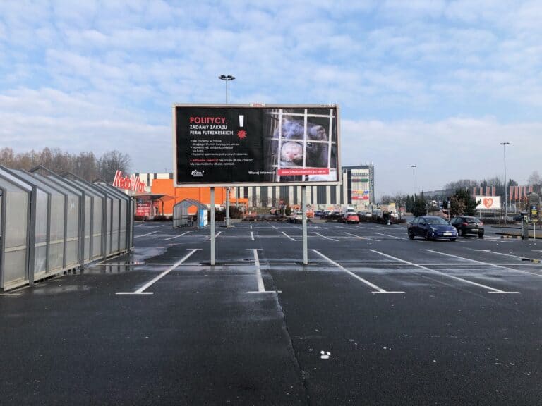 W Olsztynie pojawiło się 7 billboard&oacute;w antyfutrzarskich
