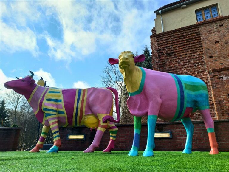 Kolorowe krowy pod olsztyńskim Amfiteatrem