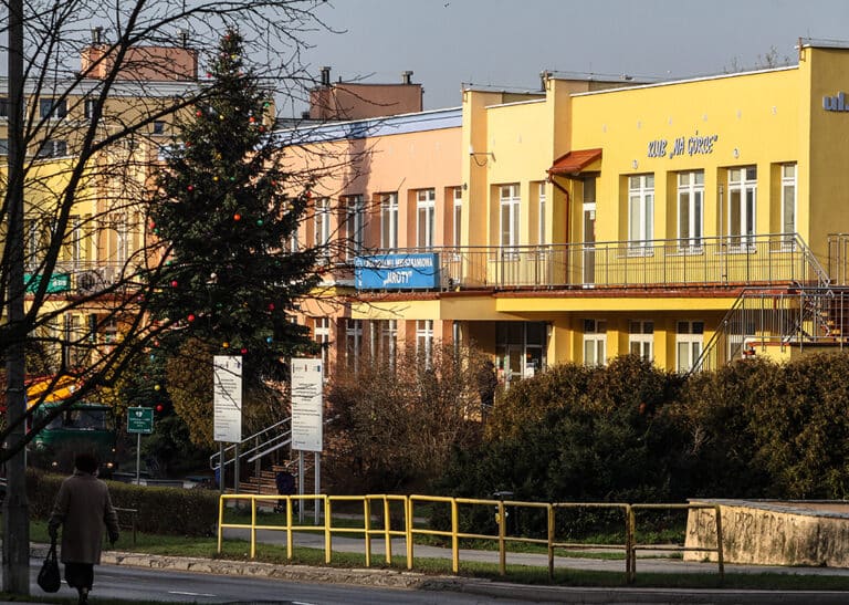 Sp&oacute;łdzielnia przycięła drzewa. Podzieliła tym mieszkańc&oacute;w