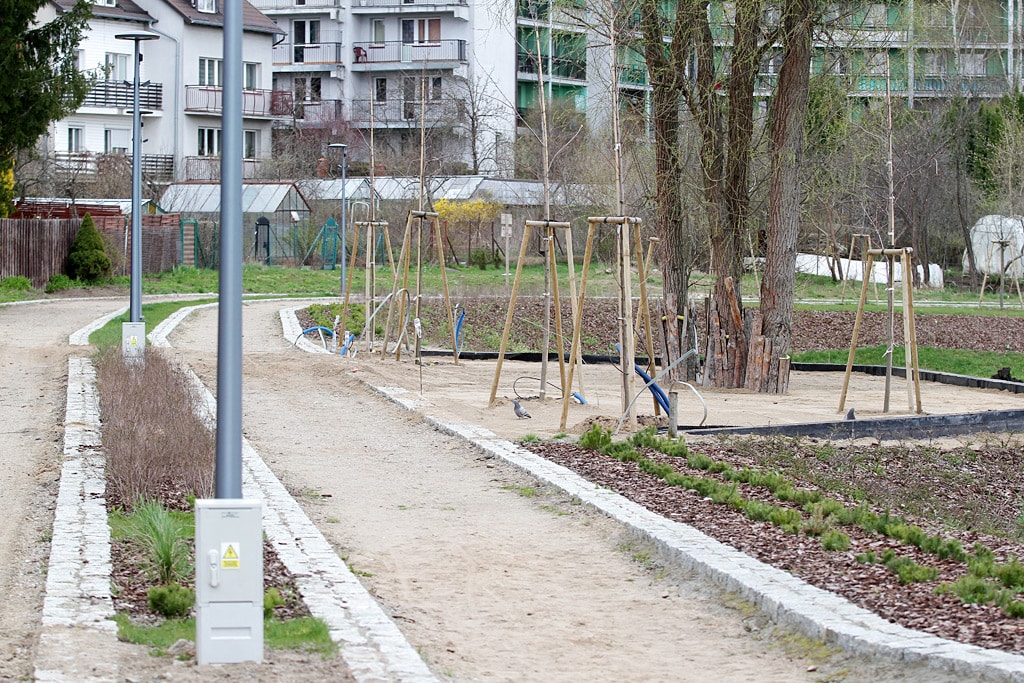 Prace nad budową nowego parku w Olsztynie trwają w najlepsze