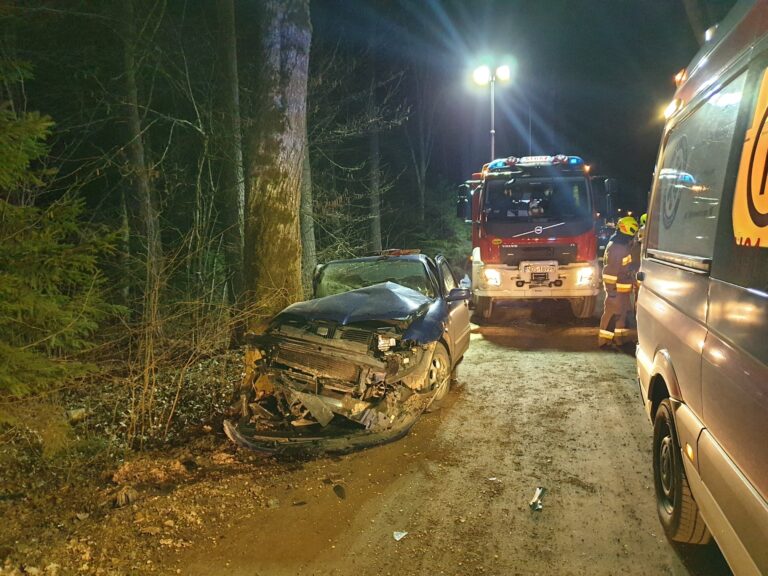 Doszczętnie rozbił Seata na drzewie. Przewoził dw&oacute;jkę pasażer&oacute;w