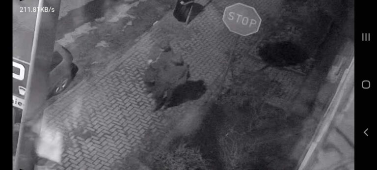 Wandale pomalowali auto sprayem