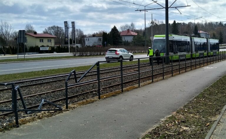 Drzewo przewr&oacute;ciło się na tory. Ruch tramwajowy wstrzymany