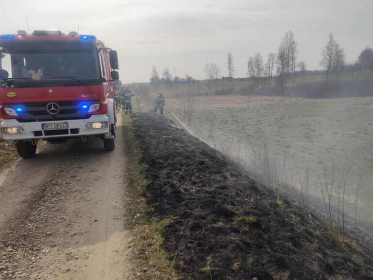 40-latek podpalał trawę przy drodze