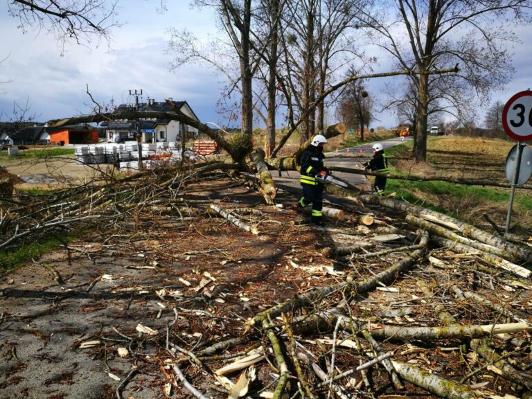 Powalone drzewo zablokowało drogę w Bartągu