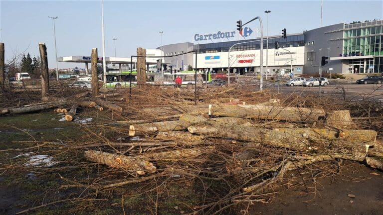 Czy Olsztyn jest miastem zaniedbującym zieleń? Aktywiści oceniają