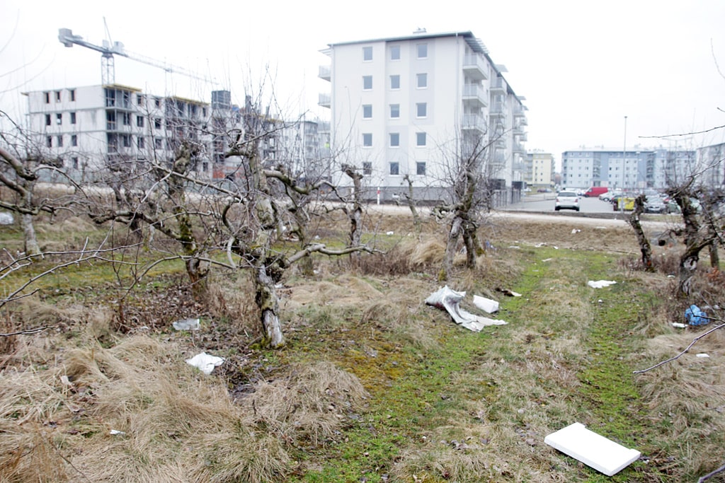 Śmieci z budowy zasypują okolicę Jaroty Wiadomości