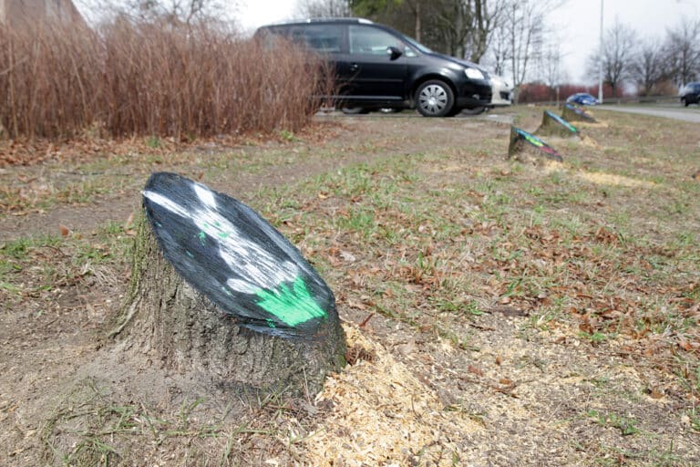 Pnie na ul. Krasickiego zostały przerobione na pisanki