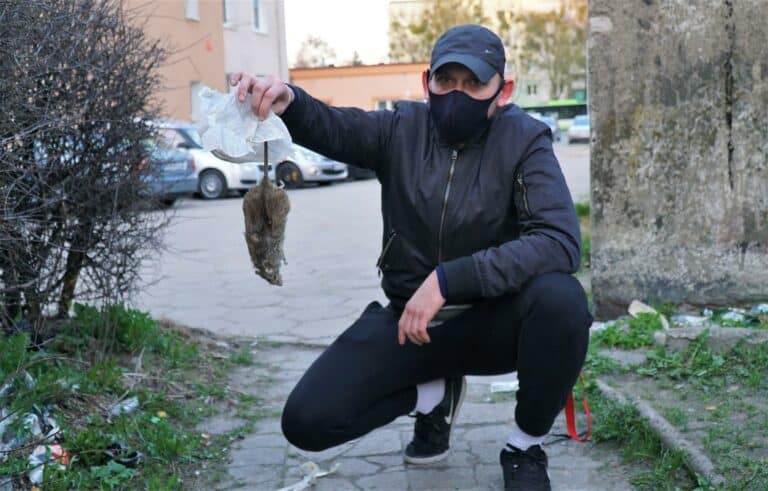 Mieszkaniec Olsztyna: „Jest tutaj taki syf, że nawet szczury zdychają”