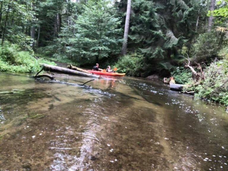 Projekt społeczny Barwy POLSKOści. Istota ojczyzny w życiu Polak&oacute;w