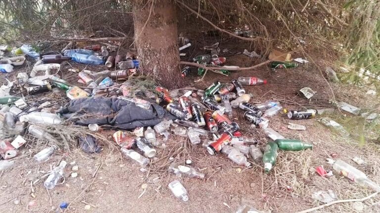 &bdquo;Olsztyn, Miasto-śmietnik?&rdquo;. Przyjezdni pytają, czy jest jakiś strajk służb miejskich