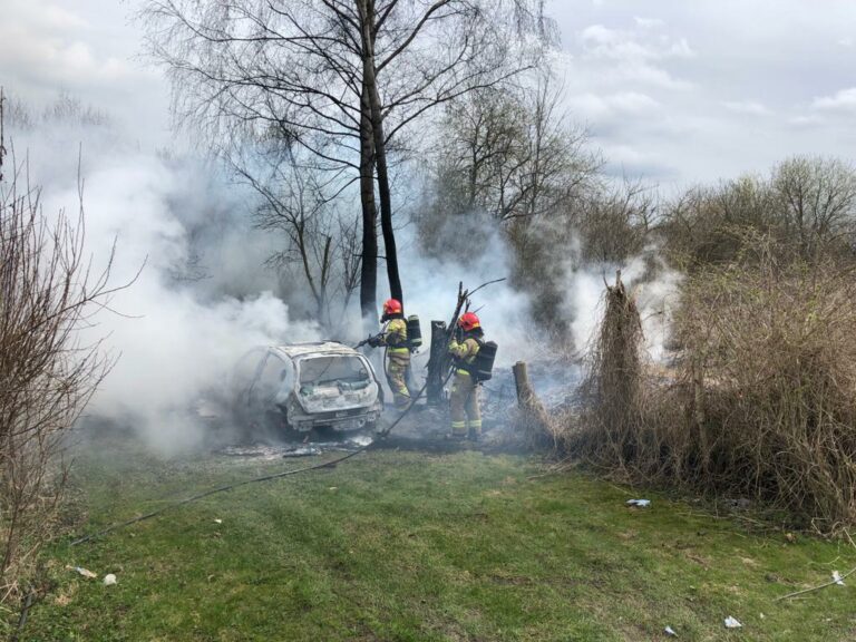 Spłonęło zaparkowane auto osobowe