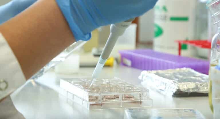 Wciąż rośnie liczba zakażeń w całym kraju