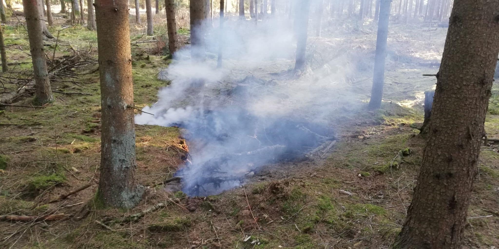 Pożar leśnego torfowiska Olsztyn, Wiadomości