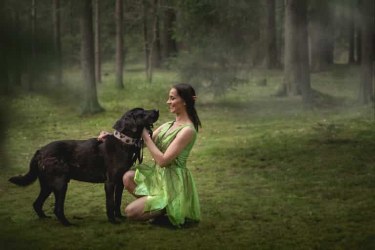 &bdquo;Zwierzak jak z bajki&rdquo;. Akcja student&oacute;w UWM