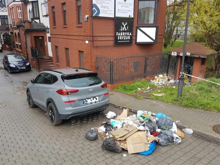 G&oacute;ra śmieci na olsztyńskiej star&oacute;wce. Kto to posprząta?