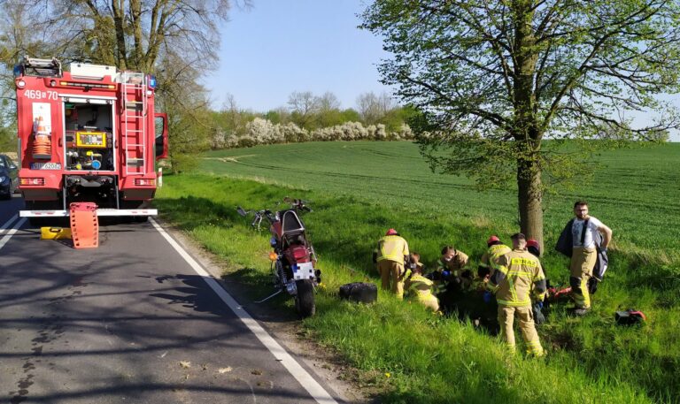 Zderzenie zwierzęcia z motocyklistą. Jeleń nie przeżył