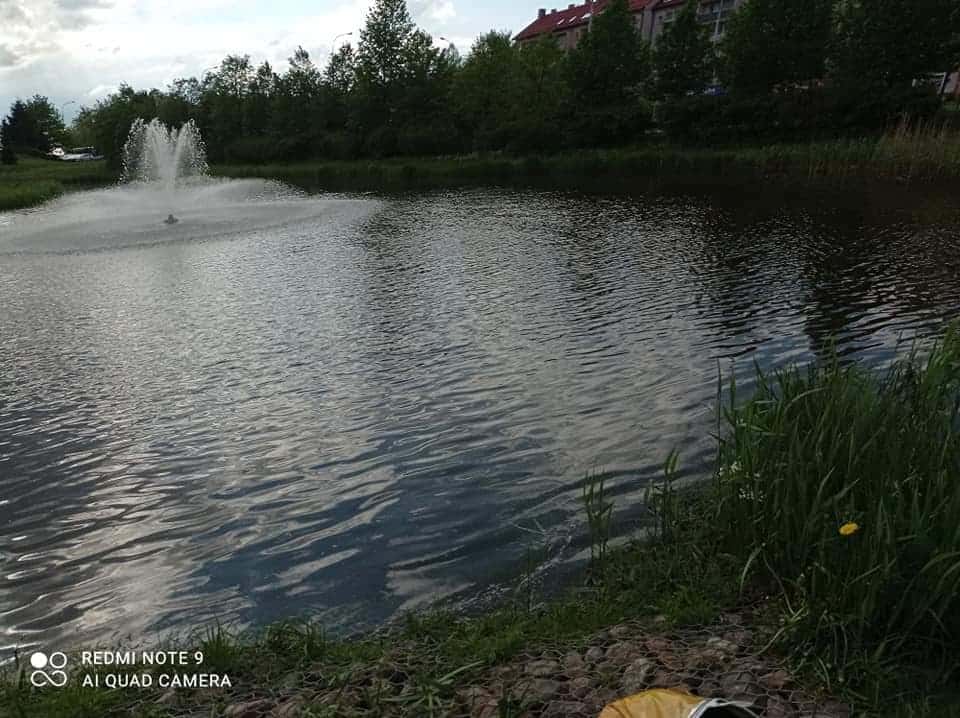 Dzieci znalazły martwego psa w reklamówce Jaroty Wiadomości, Olsztyn