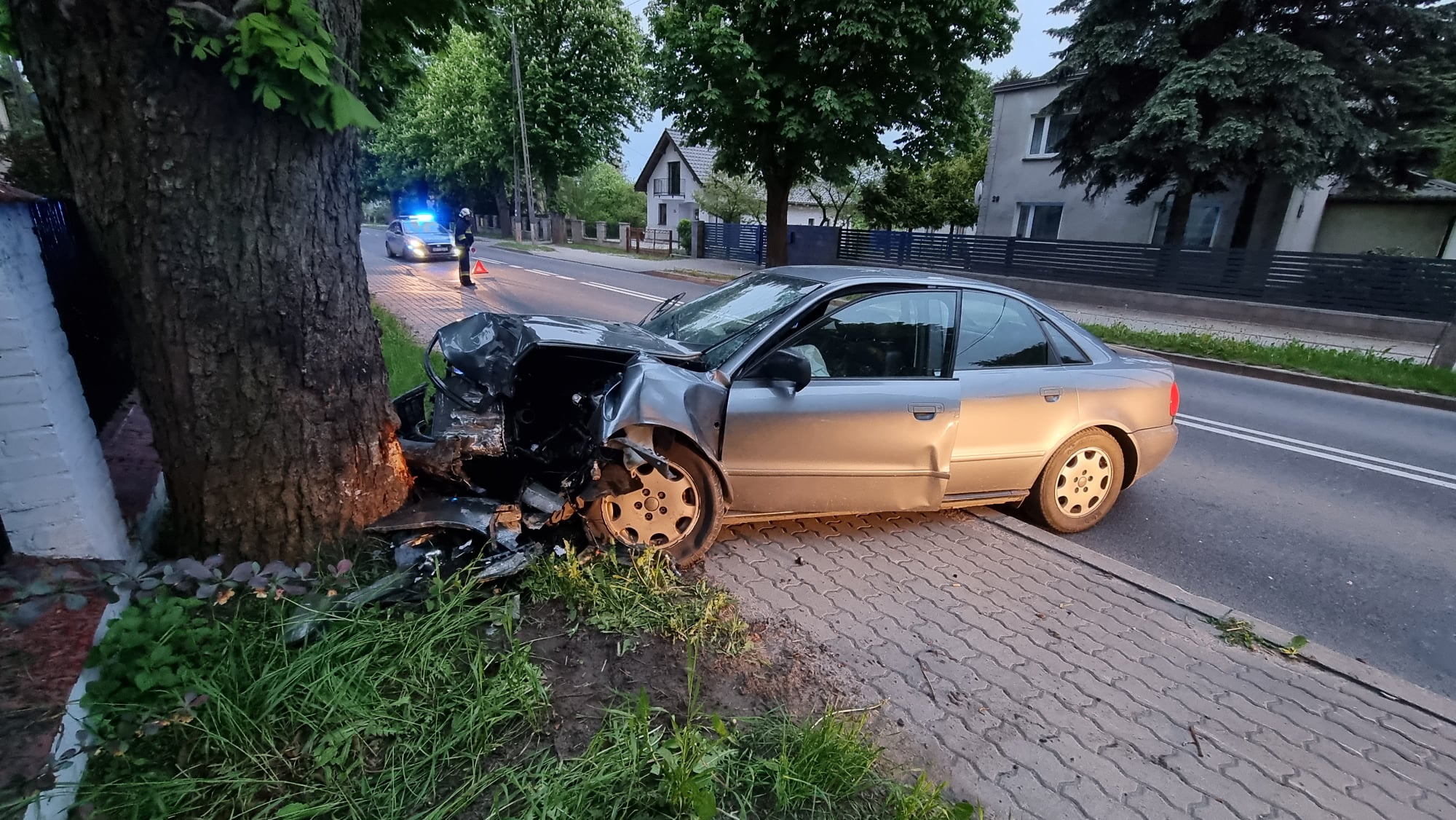 Kierowca uderzył w przydrożne drzewo drzewo Wiadomości, Olsztyn