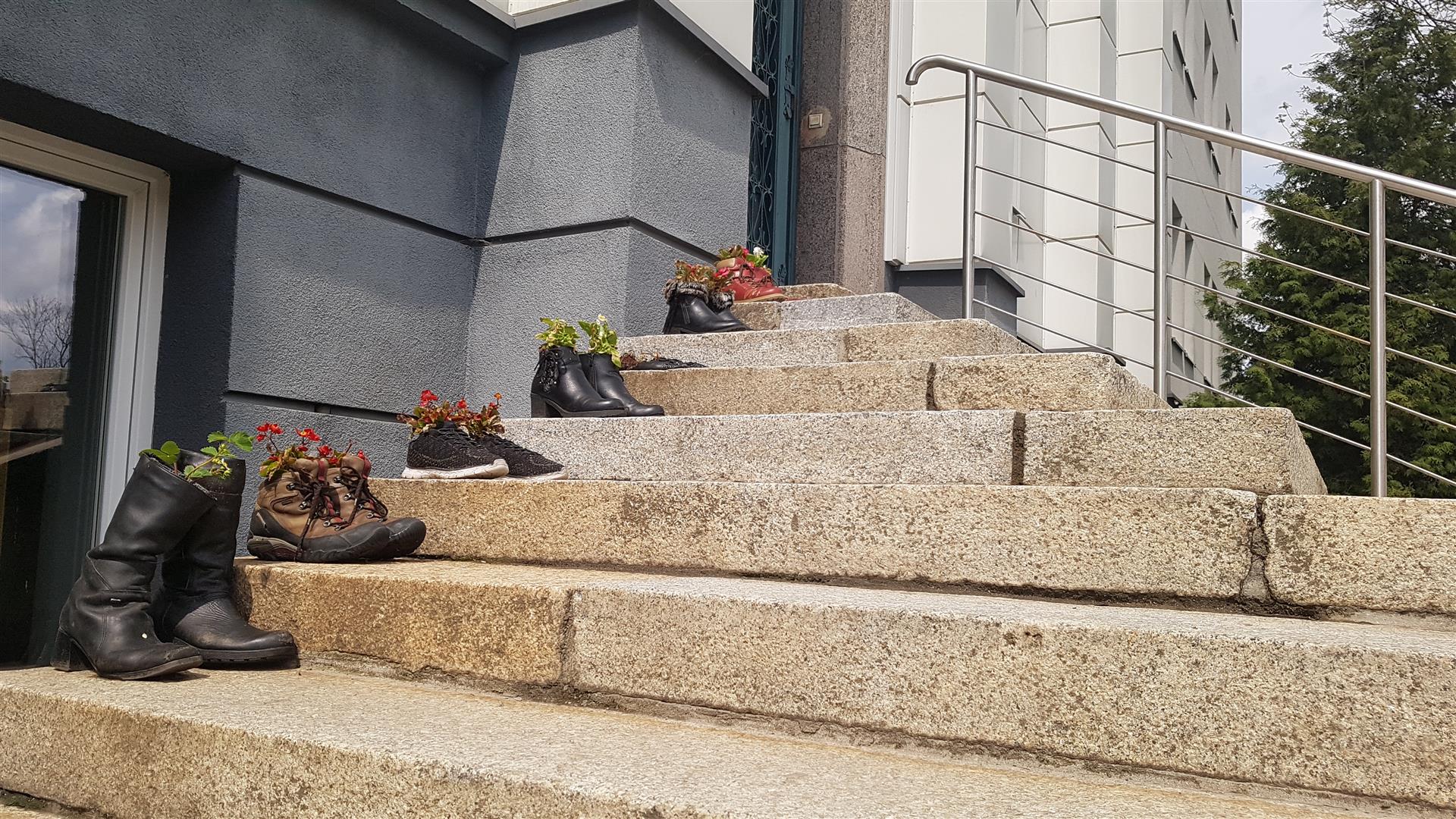 Przed Wydziałem Sztuki UWM stanęły kwiaty w... butach uwm Wiadomości, Olsztyn