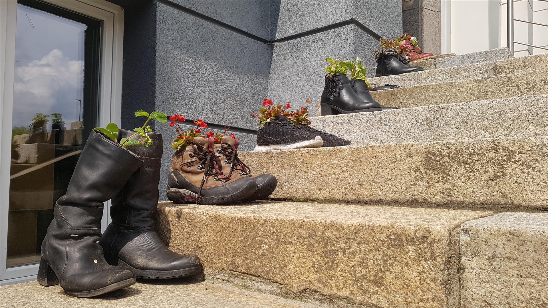 Przed Wydziałem Sztuki UWM stanęły kwiaty w... butach uwm Wiadomości, Olsztyn