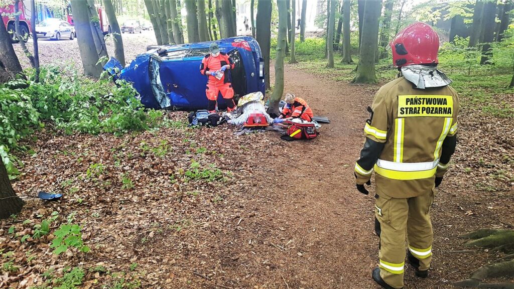 Na wylocie z Olsztyna auto kierowane przez 80-latka wypadło z drogi i uderzyło w drzewo wypadek Wiadomości, Olsztyn