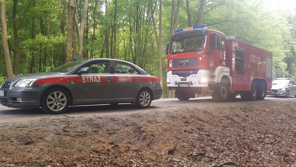 Na wylocie z Olsztyna auto kierowane przez 80-latka wypadło z drogi i uderzyło w drzewo wypadek Wiadomości, Olsztyn