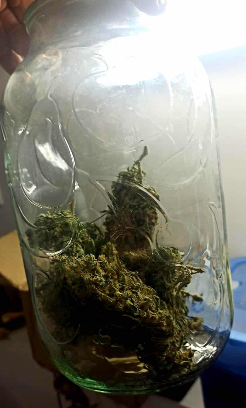 40-latek hodował marihuanę za zamurowaną ścianą domu narkotyki Wiadomości, Szczytno