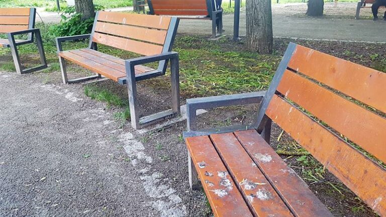 Olsztyńskie ławki są zajęte ptasimi odchodami