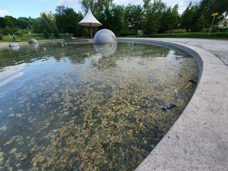 Olsztynianin kieruje list do prezydenta. Jego rządy przyr&oacute;wnuje do &bdquo;brudu i niechlujstwa&rdquo;