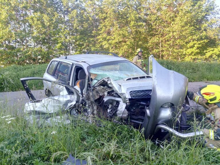 Zderzenie z drzewem „skasowało” cały przód auta