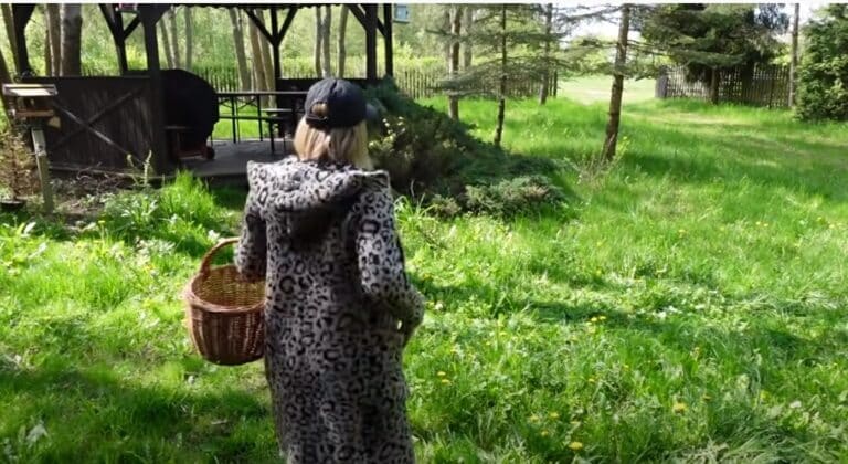 Znana youtuberka przyjeżdża na Mazury i dokarmia dzikie zwierzęta kebabem, a nawet twarogiem