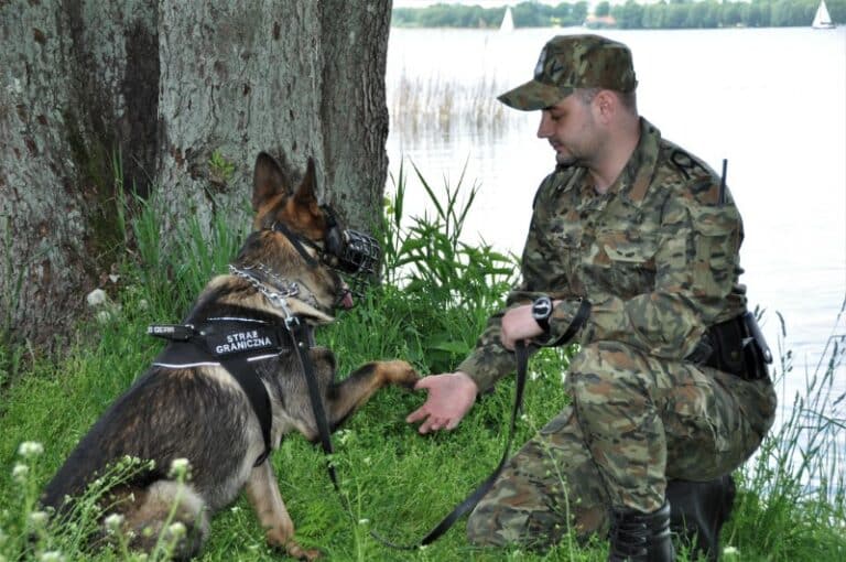 Nowe psy zasiliły szeregi Straży Granicznej. Dziś obchodzą swoje święto