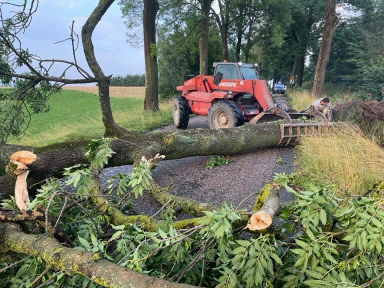 Warmińsko-Mazurskie. 240 interwencji strażackich po burzach