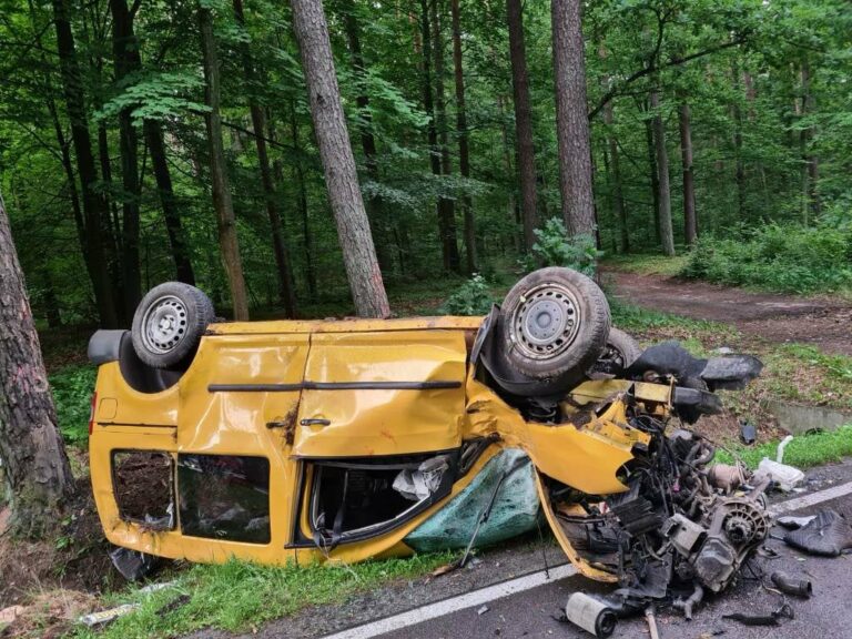 Groźny wypadek auta dostawczego. Kierowca był poważnie ranny