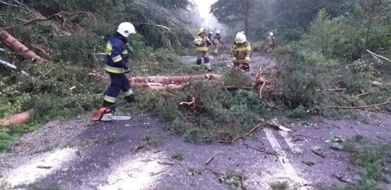 Strażacy interweniowali po burzach ponad dwieście razy