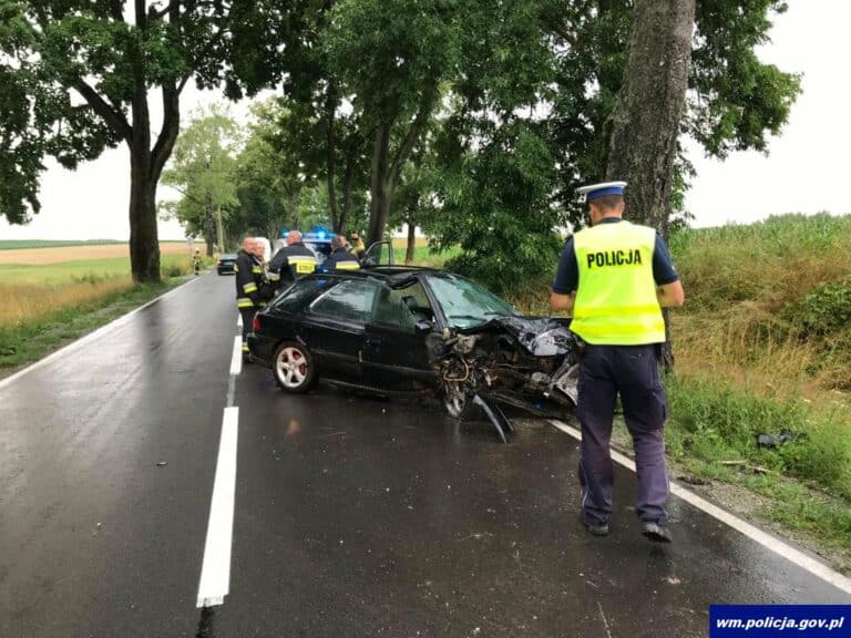 20-letni kierowca Subaru uderzył w drzewo. Został ukarany mandatem