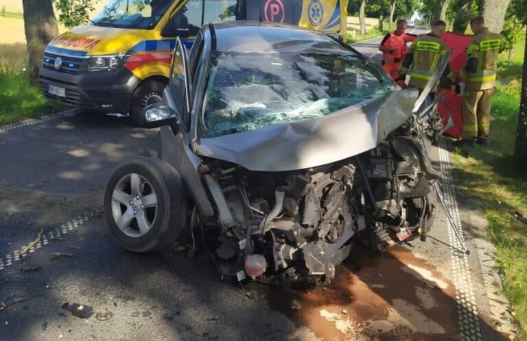 65-latek uderzył w drzewo. Zmarł mimo reanimacji