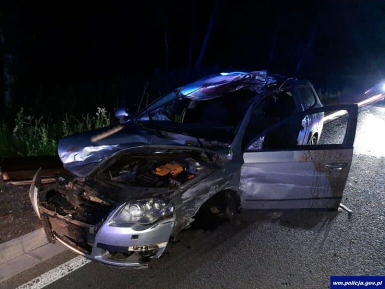 Łoś wtargnął wprost pod koła auta. Kierowca trafił do szpitala, a zwierzę nie przeżyło