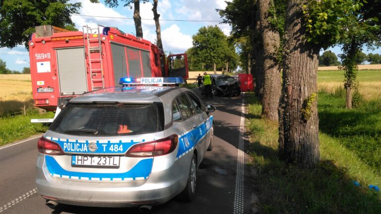 Śmiertelny wypadek na drodze wojewódzkiej