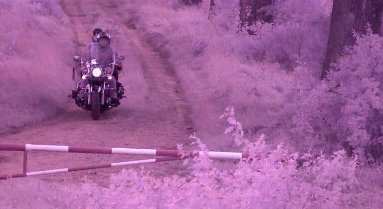 Turysta i grzybiarz ukarani za wejście na zieloną granicę