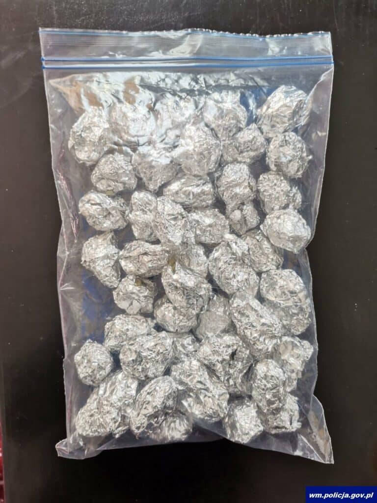 19-letek usłyszał zarzuty, do których się przyznał