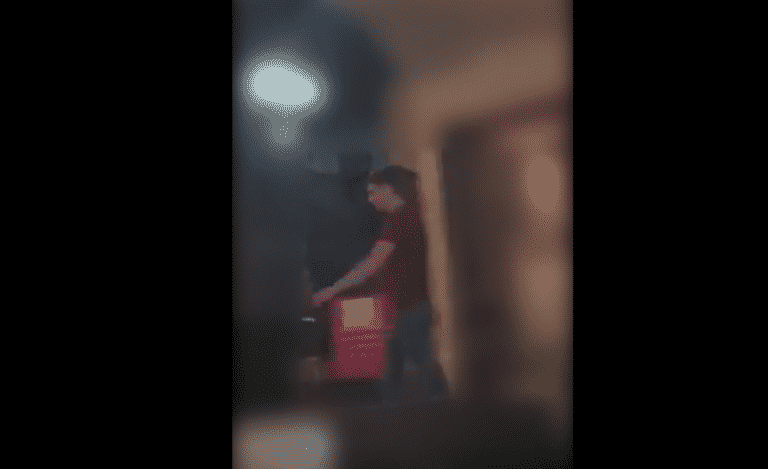 Wpadł w szał. Zaatakował donice z kwiatami