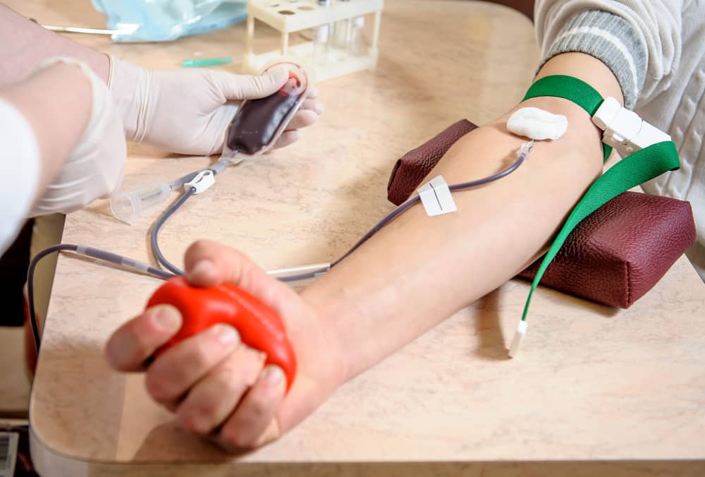 Akcja poboru krwi. Organizuje ją jedno z okolicznych nadleśnictw Wiadomości, zPAP
