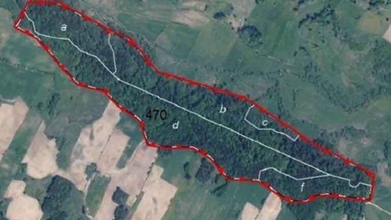 Na Warmii i Mazurach utworzono 111. rezerwat przyrody