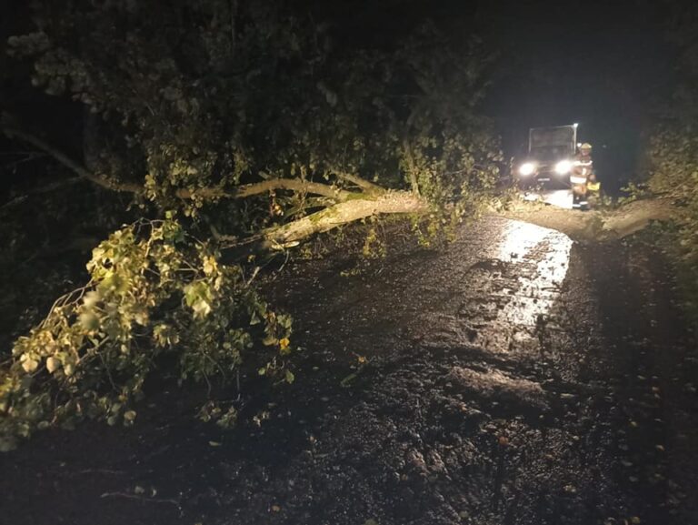 Ponad 300 połamanych drzew i konar&oacute;w w nocnych wichurach