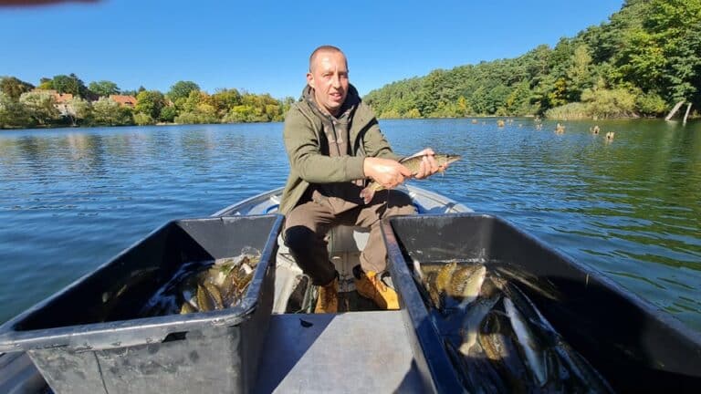 Do jeziora Długiego trafiło prawie sto kilogram&oacute;w szczupak&oacute;w