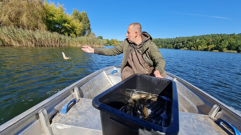 Do jeziora Długiego trafiło prawie sto kilogramów szczupaków jezioro Wiadomości, Olsztyn